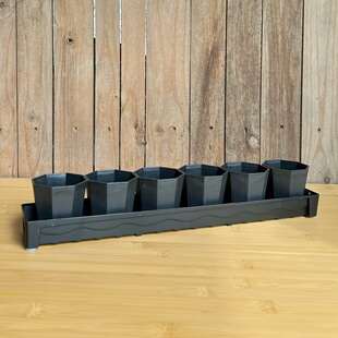 【口径7cm】八角盆加厚塑料多肉盆8格/12格托架细长条托盘小黑方