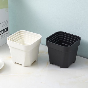 小白方多肉花盆韩式 塑料加厚黑白盆小黑方盆浅方盆方形多肉拇指盆