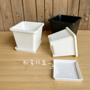 大方盆多肉花盆景天小方盆超厚老桩仙人掌花盆 特硬韩式 奶白色