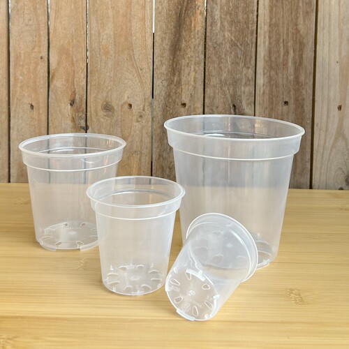 高透明蝴蝶兰花盆塑料圆形多肉石斛种植育苗播种杯盆加厚观根透气