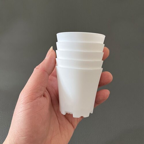 个装迷你号多肉控型万象盆