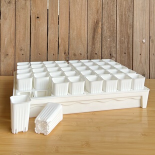 【口径5cm】拇指盆方口加高加厚多肉迷你万象控根小白方透明方盆