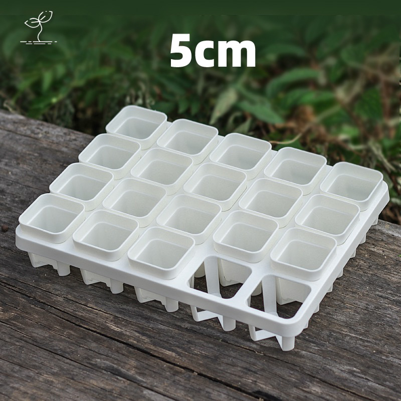 口径5cm盆20格托盘托架多肉拇指花盆育苗播种控根玉露景天叶插盆