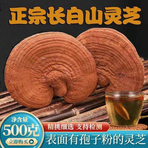 长白山赤灵芝带孢子粉灵芝 椴木赤芝林下赤芝 泡酒煮水黑灵芝干货 - 封面
