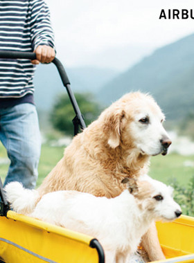 Airbuggy Carriage日本进口大型犬多犬推车可折叠多功能宠物推车