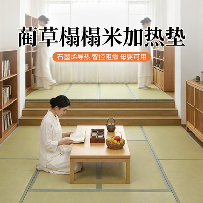 蔺草日式榻榻米加热硬垫子椰棕黄麻茶室炕垫定制打地台铺专用冬天