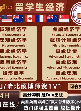 留学生英文essay微观经济宏观经济高级计量金融经济数据分析作业