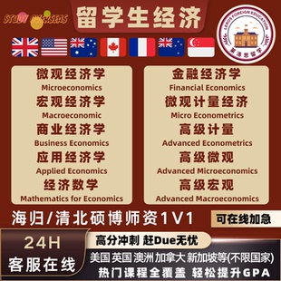 留学生英文essay微观经济宏观经济高级计量金融经济数据分析作业