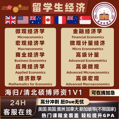 留学生英文essay微观经济宏观经济高级计量金融经济数据分析作业