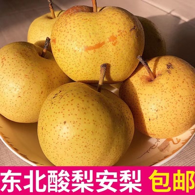 东北薄皮特大个酸梨安梨保温箱发货可做冻梨包邮