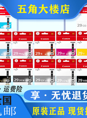 佳能原装 PRO-1 PGI-29墨盒MBK PBK LGY GY DGY C M Y PC R CO PM
