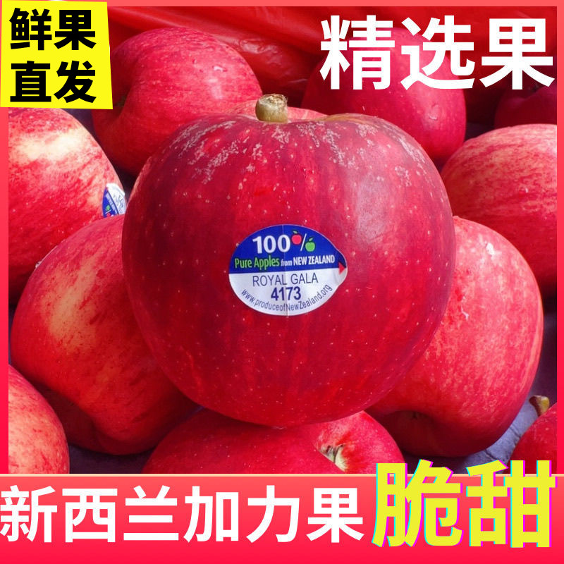 新西兰进口加力果嘎啦苹果新鲜水果脆甜红玫瑰丹烁牛顿苹果当季图片