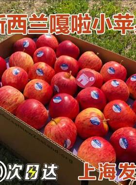 新西兰嘎啦果苹果进口queen皇后苹果脆甜新鲜孕妇水果顺丰包邮