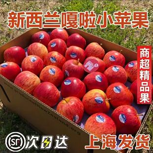 新西兰嘎啦果苹果进口queen皇后苹果脆甜新鲜孕妇水果顺丰包邮