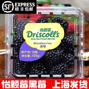 包邮 云南怡颗莓黑莓新鲜覆盆子黑树莓果桑葚 孕妇水果 顺丰空运