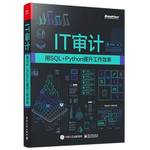 官方旗舰店 IT审计:用SQL+Python提升工作效率 数据可视化技巧图书籍 Python基础与Python实战技巧 IT审计学习SQL基础与实战