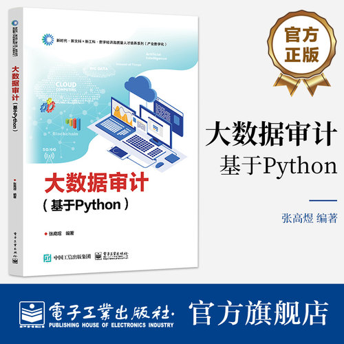 官方旗舰店 大数据审计 基于Python 张高煜 著 高等院校审计和金融科技等专业相关课程的教材 财经从业人员参考书 电子工业出版社