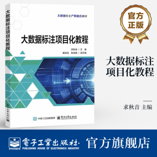 电子工业出版 官方旗舰店 文本数据图像数据语音数据数据标注工具步骤规范和质检书籍 求秋音 社 大数据标注项目化教程