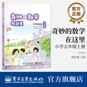 自营旗舰店 唐彩斌趣味学数学数学阅读 奇妙 数学在这里 小学五年级上册 小学数学思维拓展训练 小学教辅同步教材