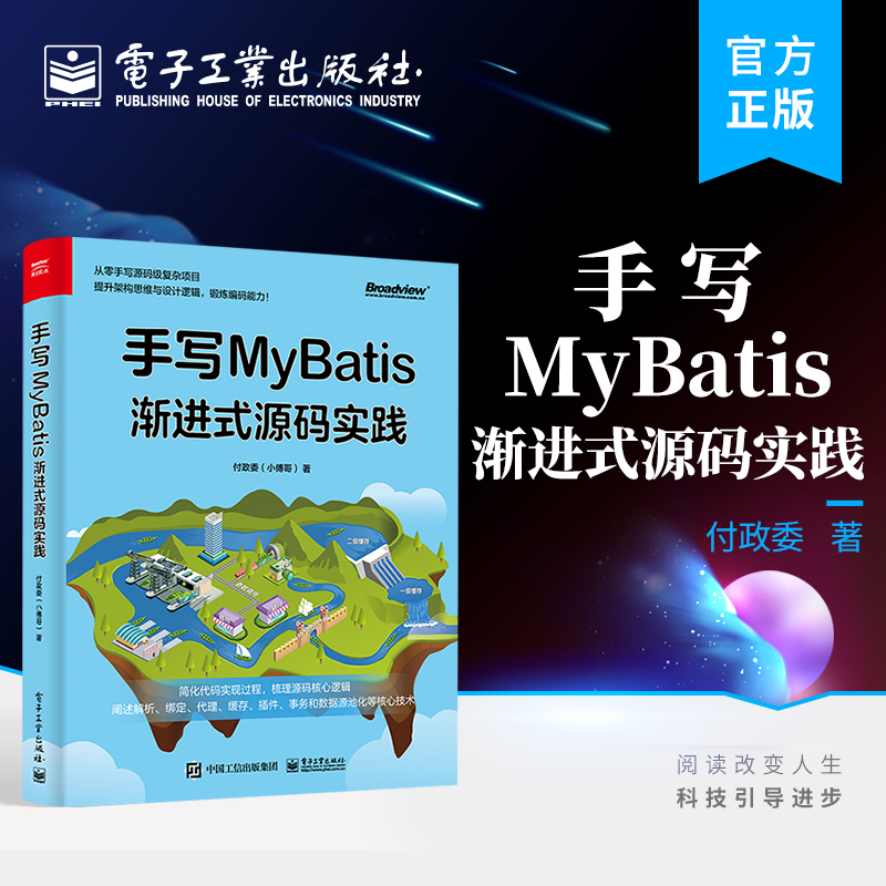 官方正版手写MyBatis渐进式源码实践 MyBatis的核心逻辑 MyBatis分析设计实践 MyBaits核心功能解析 Spring Boot书籍付政委