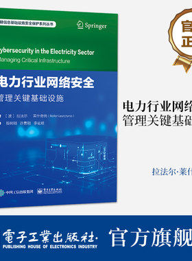 官方旗舰店 电力行业网络安全 管理关键基础设施 关键信息基础设施安全保护系列丛书 电力部门网络安全现状讲解书籍