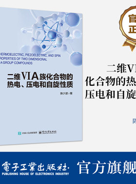 官方旗舰店 二维VIA族化合物的热电 压电和自旋性质 陈少波 稳定的二维VIA族化合物的相关物理性质 高性能压电自旋电子材料开发书