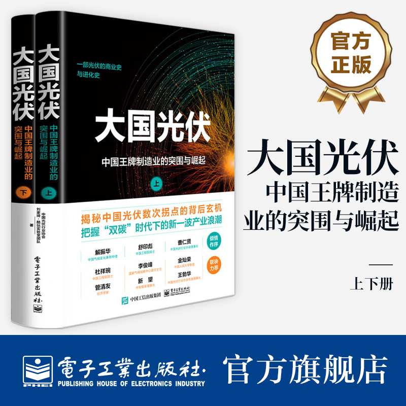 官方旗舰店 大国光伏 中国王牌制造业的突围与崛起 中国光伏行业数十年发展历程与辉煌成就的纪实性著作 电子工业出版社
