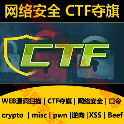 CTF Flag夺旗Linux网络密码学取证漏洞查找安全解题竞赛CITS1003