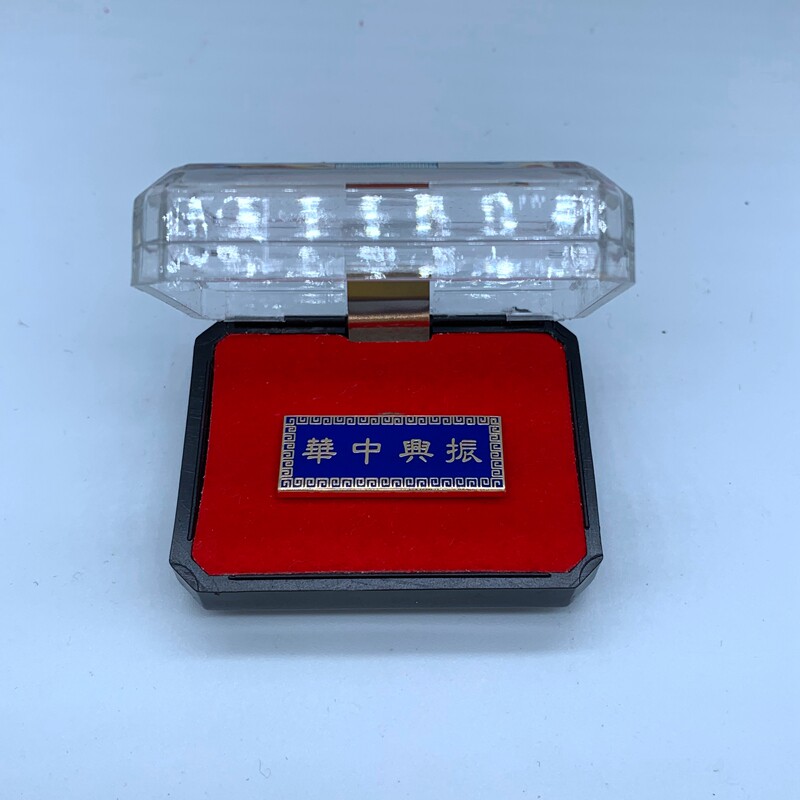 民国徽章振兴中华辛亥革命别针国军孙中山纪念章胸针设计感小众章