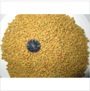 葫芦巴500g包邮 巴豆 葫芦巴籽芦巴豆 芦巴子 苦豆 香豆子