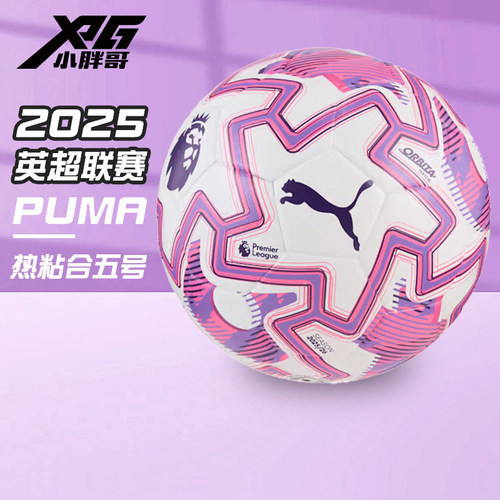 彪马英超26次高端热粘合5号足球