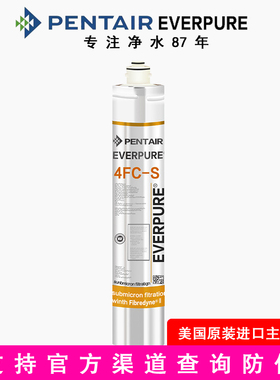 爱惠浦净水器4FC滤芯家用直饮机7FT主滤芯7FC-S厨房过滤EV969231