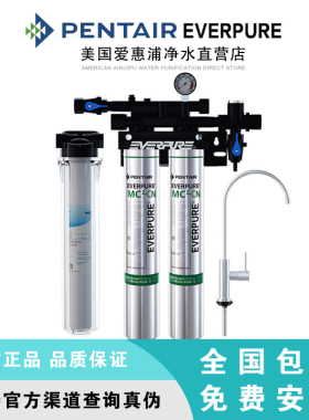 爱惠浦商用活性炭大流量超滤净水