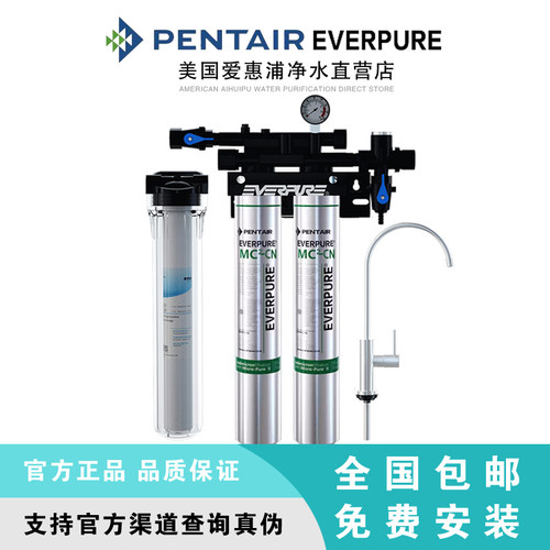 爱惠浦商用活性炭大流量超滤净水