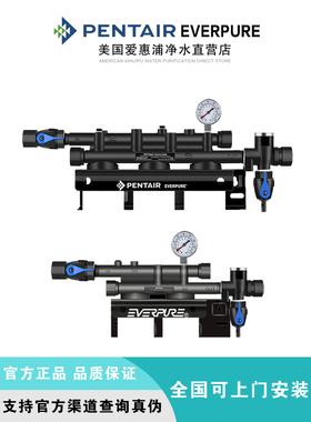 原装爱惠浦双联三联机头QL71机头QC71MC2净水专用滤头商用大流量