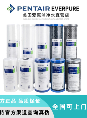 滨特尔大蓝瓶胖10寸20寸PP滤芯CFB DXF GDG RF颗粒椰壳复合活性炭