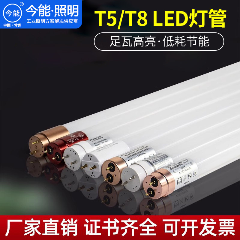 LED防爆灯罩灯管 T8led灯管支架灯1.2m长条日光灯 16w30w光管高亮