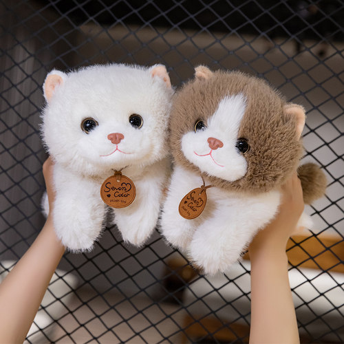 贝多鱼猫咪公仔仿真可爱柔软好抱