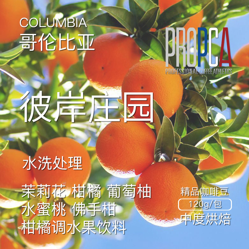 PCA哥伦比亚精品咖啡豆120g彼岸庄园Supremo水洗中度烘焙新鲜手冲