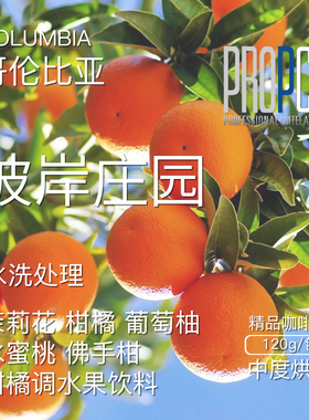 PCA哥伦比亚精品咖啡豆120g彼岸庄园Supremo水洗中度烘焙新鲜手冲