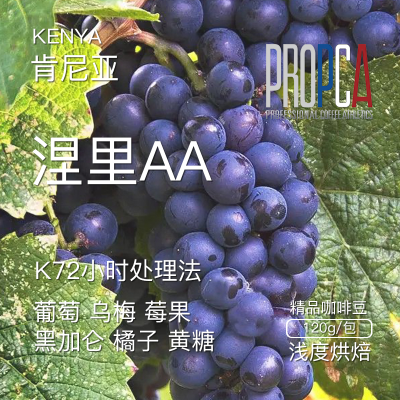 PCA肯尼亚涅里AA咖啡豆