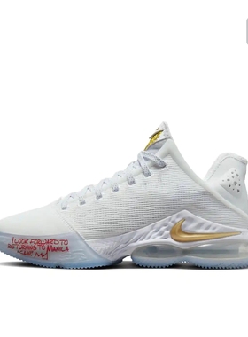 Nike Zoom LeBron 19 詹姆斯 缓震 织物 DV3334-100 广东OXX仓