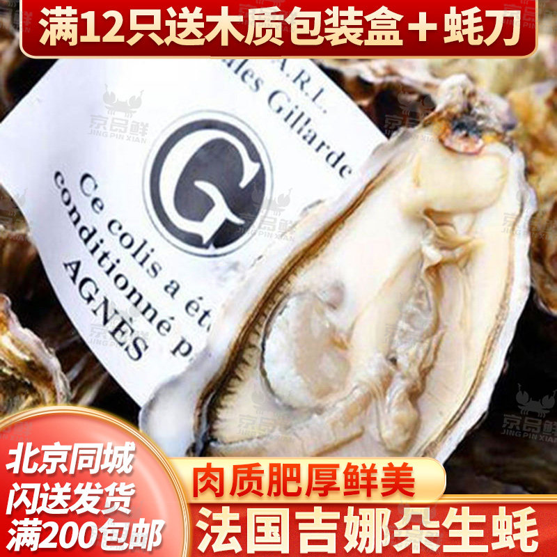 法国进口鲜活吉拉多 吉娜朵 纯净蚝 大生蚝北京京深海鲜闪送鲜活