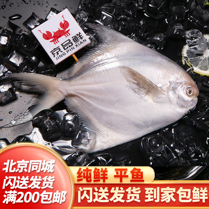 新鲜平鱼半斤一条适合清蒸很新鲜图片