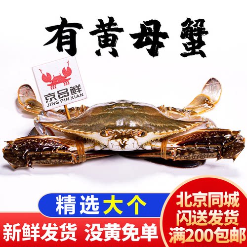 保鲜不保活 山东梭子蟹约5两/只 梭子蟹飞蟹 北京闪送