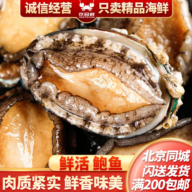 大连鲍鱼鲜活鲍鱼海鲜北京图片
