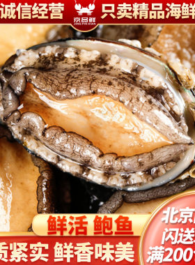 北京海鲜闪送，京深直发，鲜活鲍鱼，十头鲍鱼大约50g/只