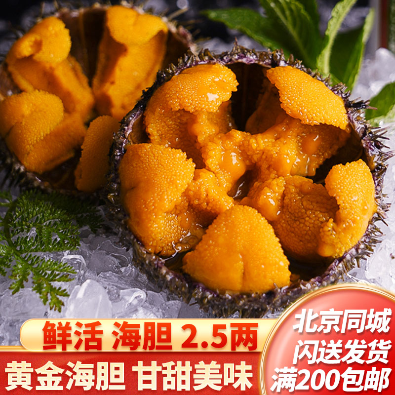 鲜活海胆北京海鲜外卖闪送图片