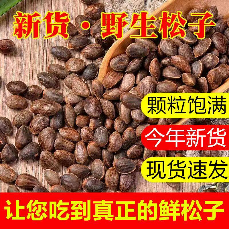 新鲜生松子湿松子落水松子坚果