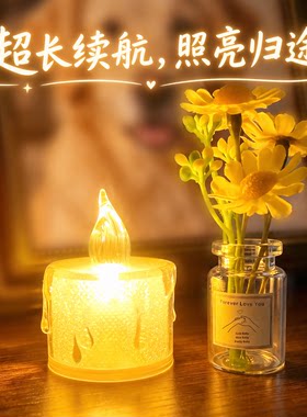 宠物祭祀长明灯仿真电子蜡烛猫咪狗狗供奉油酥灯头七祭祀殡葬用品